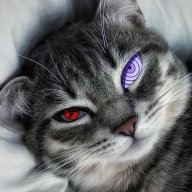 Kalya