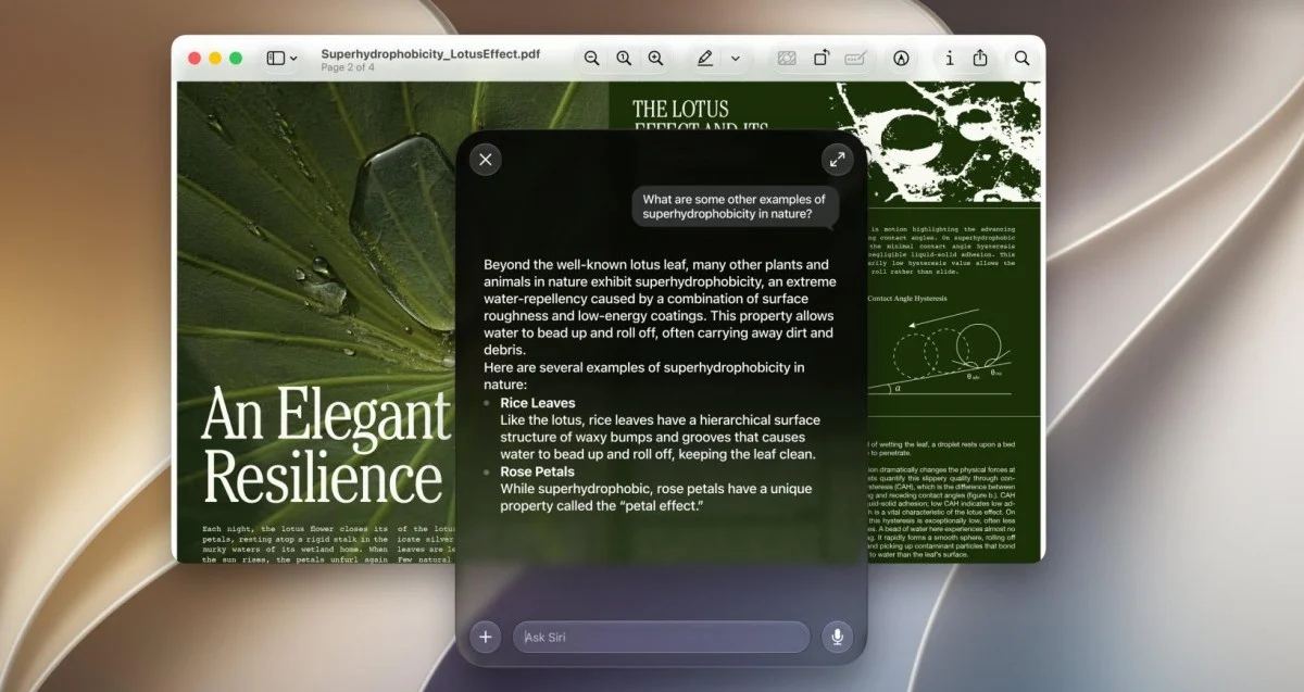 Mac'te 12 GB'lık Apple Intelligence Verilerini Silen Araç: RemoveMacAI
